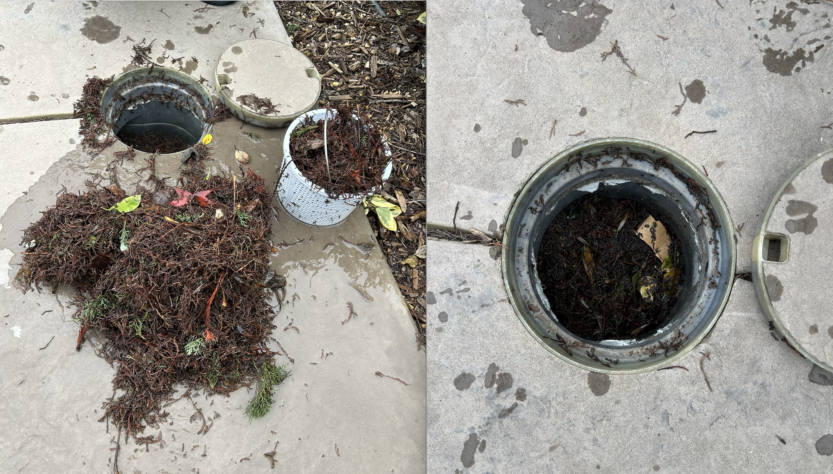 Weekly Pool Service: Why Skimmer Basket Cleaning Matters